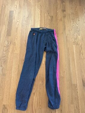 Aviator Nation Navy Sweatpants with Colored Side Stripes
